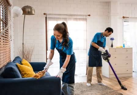 Basic Home Dusting & Mopping